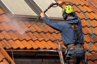 Démoussage et hydrofuge de toiture à Lacour